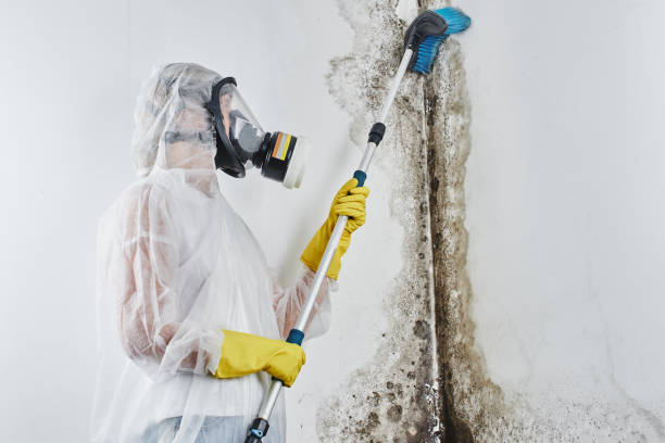 Local water damage restoration